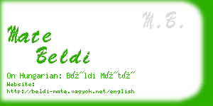 mate beldi business card